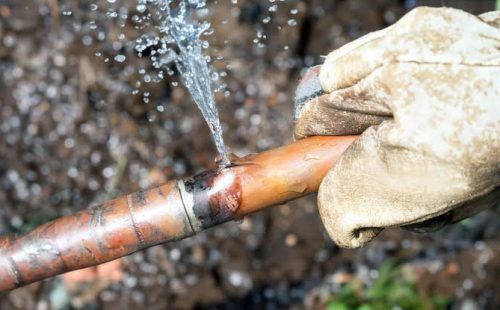 3F316394-C902-4C34-A648-64DB76B58186