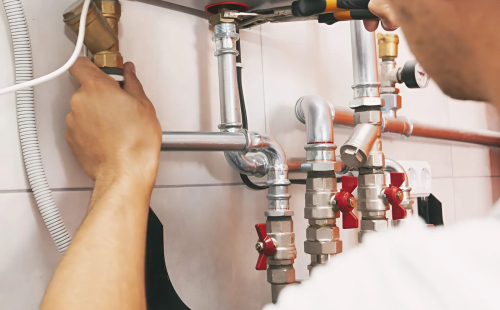 snapedit_1740973350423